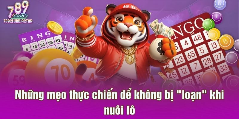 Những mẹo thực chiến để không bị "loạn" khi nuôi lô
