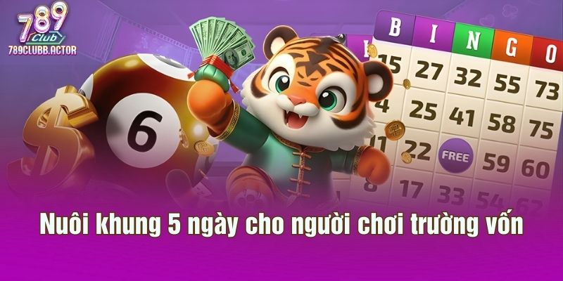 Nuôi khung 5 ngày cho người chơi trường vốn