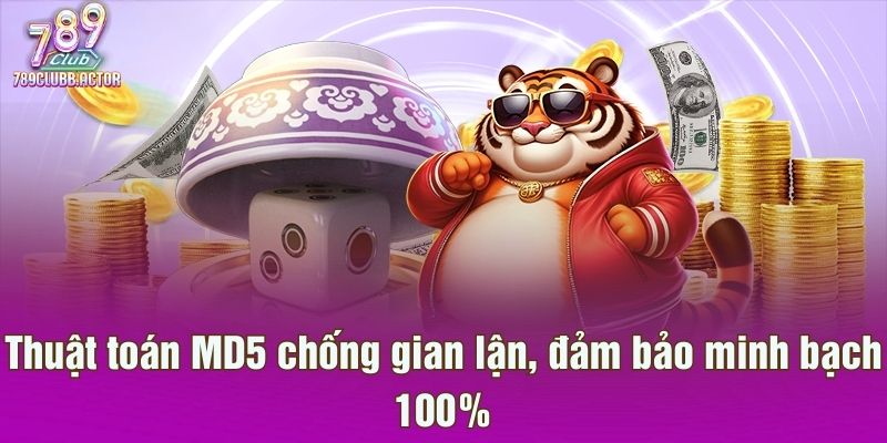 Thuật toán MD5 chống gian lận, đảm bảo minh bạch 100%